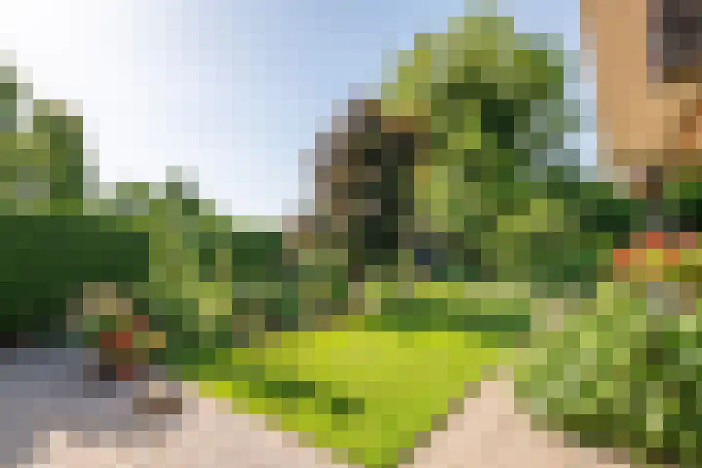 Adam van Delenstraat 6 a Eck en Wiel thumbnail 9