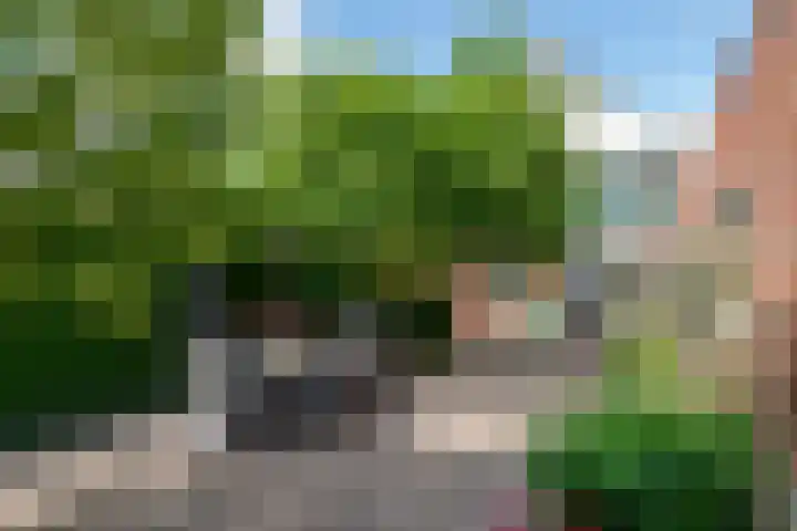Adam van Delenstraat 6 b Eck en Wiel thumbnail 13