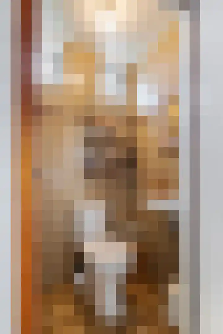 Adam van Delenstraat 6 b Eck en Wiel thumbnail 14