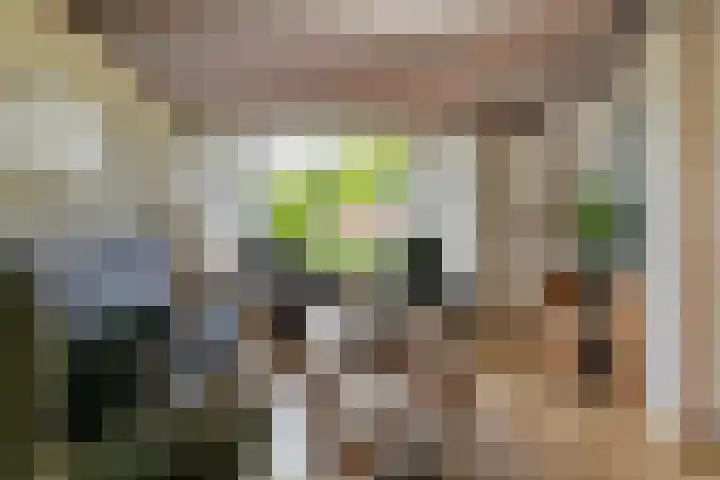 Adam van Delenstraat 6 b Eck en Wiel thumbnail 17