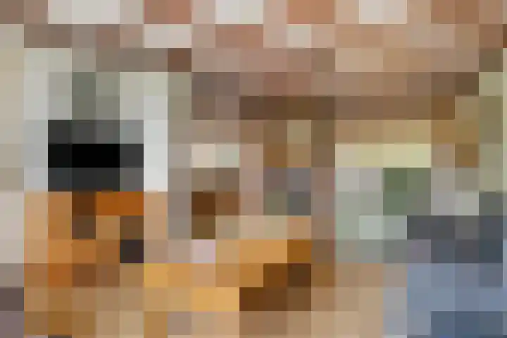 Adam van Delenstraat 6 b Eck en Wiel thumbnail 20