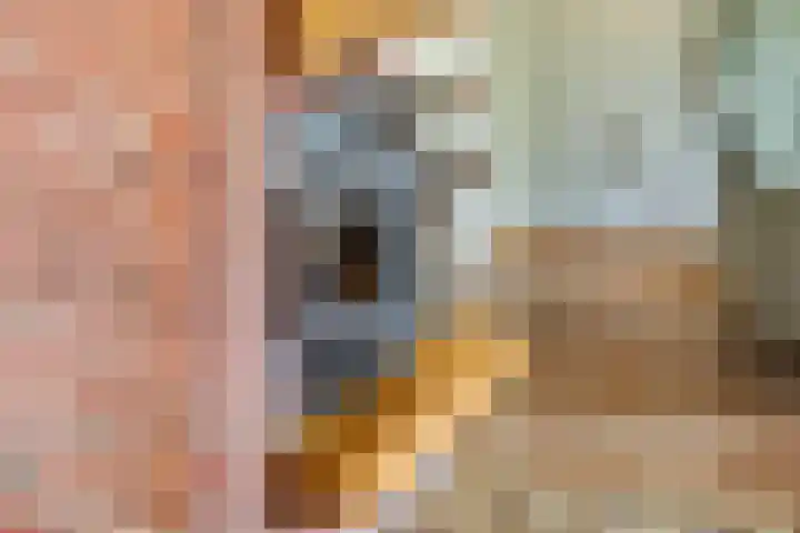 Adam van Delenstraat 6 b Eck en Wiel thumbnail 22