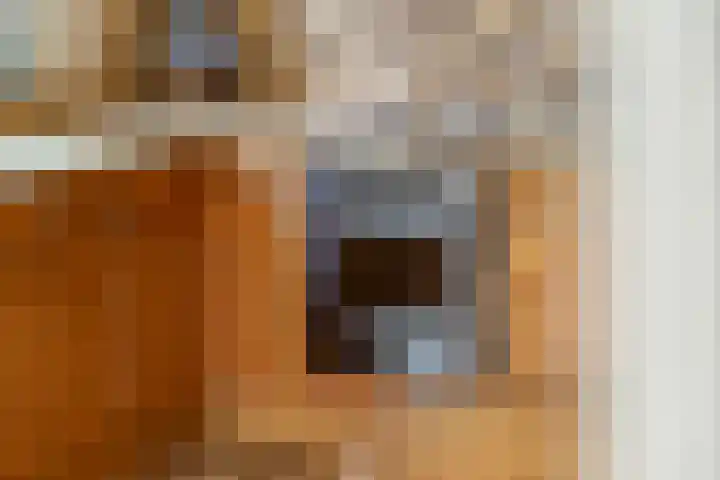 Adam van Delenstraat 6 b Eck en Wiel thumbnail 23
