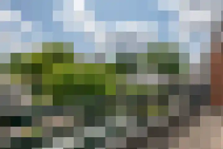 Adam van Delenstraat 6 b Eck en Wiel thumbnail 38