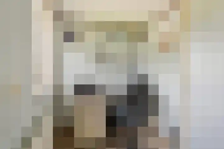 Adam van Delenstraat 6 b Eck en Wiel thumbnail 39