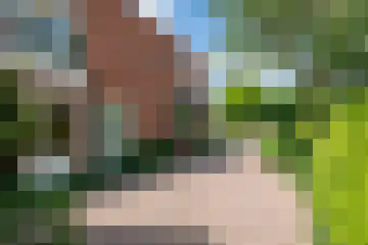 Adam van Delenstraat 6 b Eck en Wiel thumbnail 4