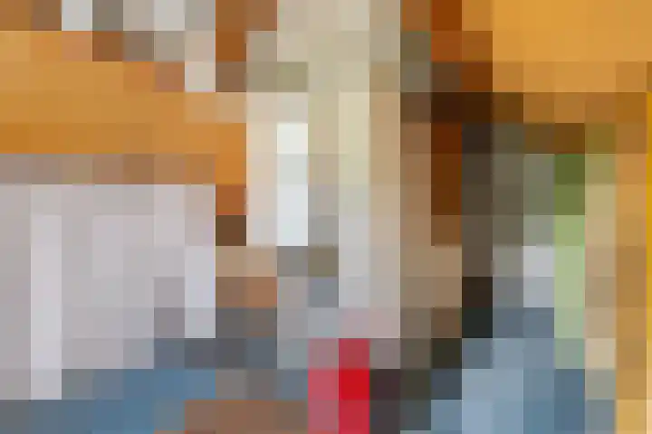 Adam van Delenstraat 6 b Eck en Wiel thumbnail 45