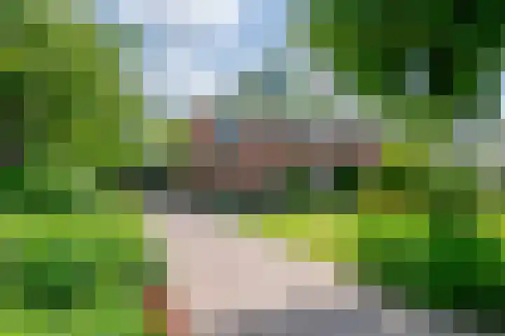 Adam van Delenstraat 6 b Eck en Wiel thumbnail 46