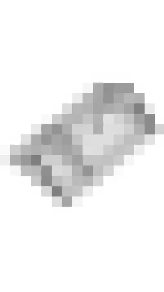 Adam van Delenstraat 6 b Eck en Wiel thumbnail 53