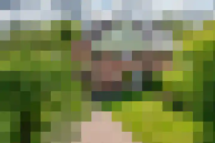 Adam van Delenstraat 6 b Eck en Wiel thumbnail 56