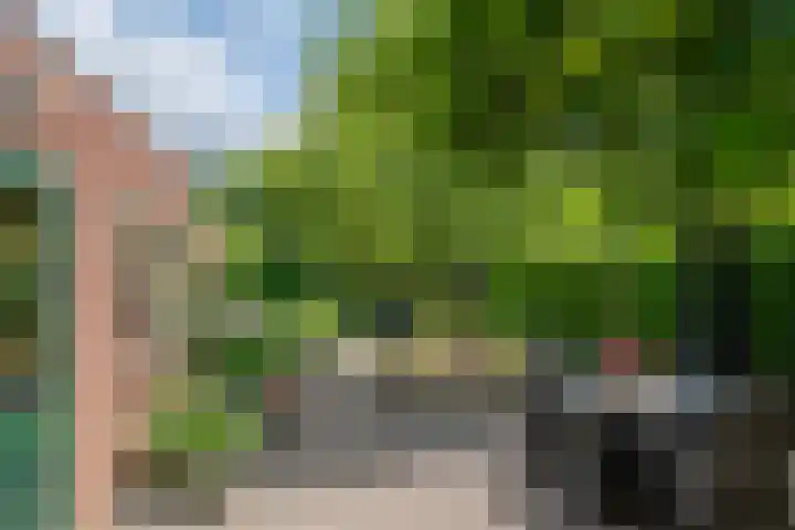 Adam van Delenstraat 6 b Eck en Wiel thumbnail 6