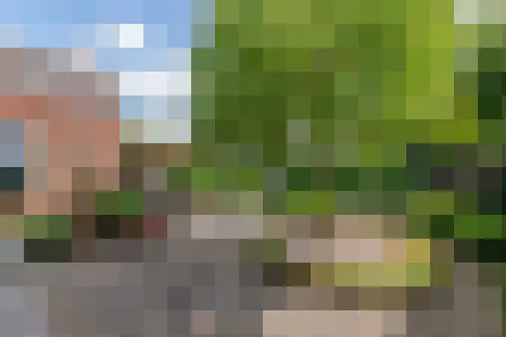 Adam van Delenstraat 6 b Eck en Wiel thumbnail 7