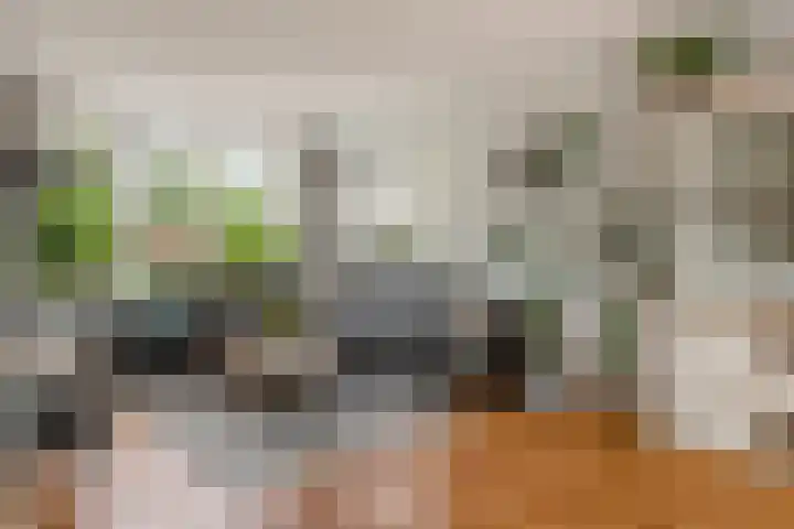Adam van Delenstraat 6 e Eck en Wiel thumbnail 10