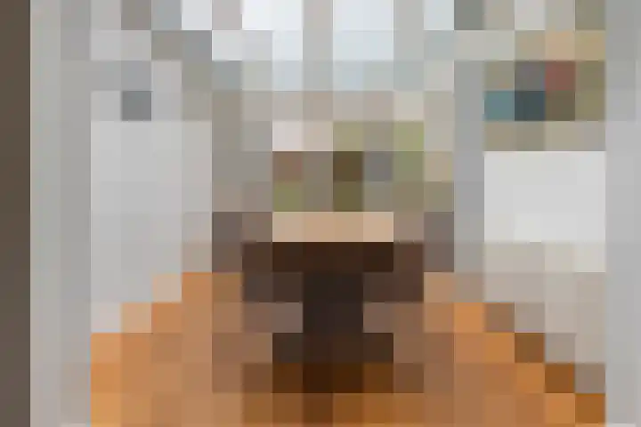 Adam van Delenstraat 6 e Eck en Wiel thumbnail 16