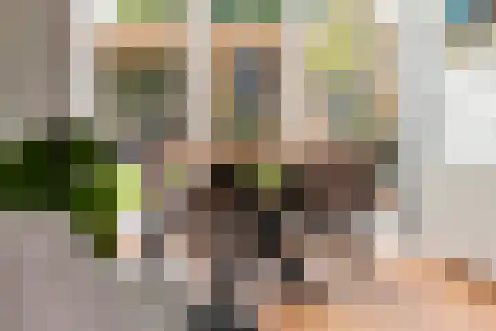 Adam van Delenstraat 6 e Eck en Wiel thumbnail 17
