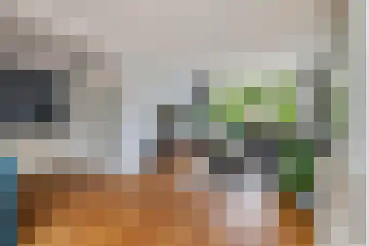 Adam van Delenstraat 6 e Eck en Wiel thumbnail 18