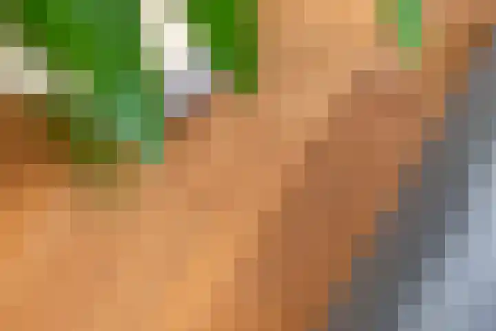 Adam van Delenstraat 6 e Eck en Wiel thumbnail 19
