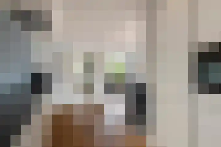 Adam van Delenstraat 6 e Eck en Wiel thumbnail 24