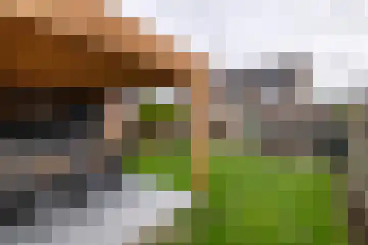 Adam van Delenstraat 6 e Eck en Wiel thumbnail 28