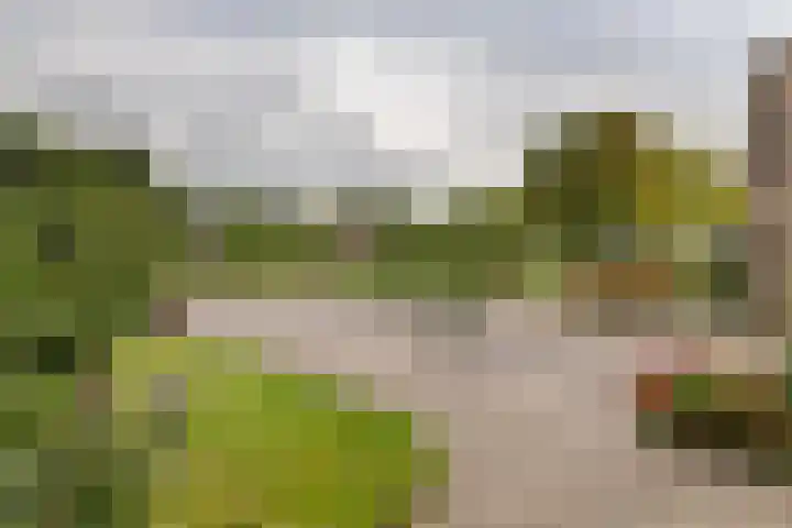 Adam van Delenstraat 6 e Eck en Wiel thumbnail 29