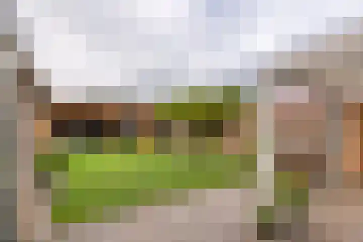 Adam van Delenstraat 6 e Eck en Wiel thumbnail 31