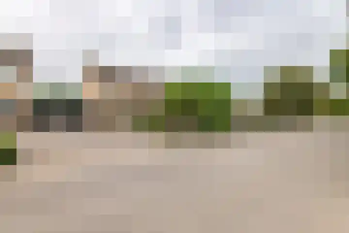 Adam van Delenstraat 6 e Eck en Wiel thumbnail 33