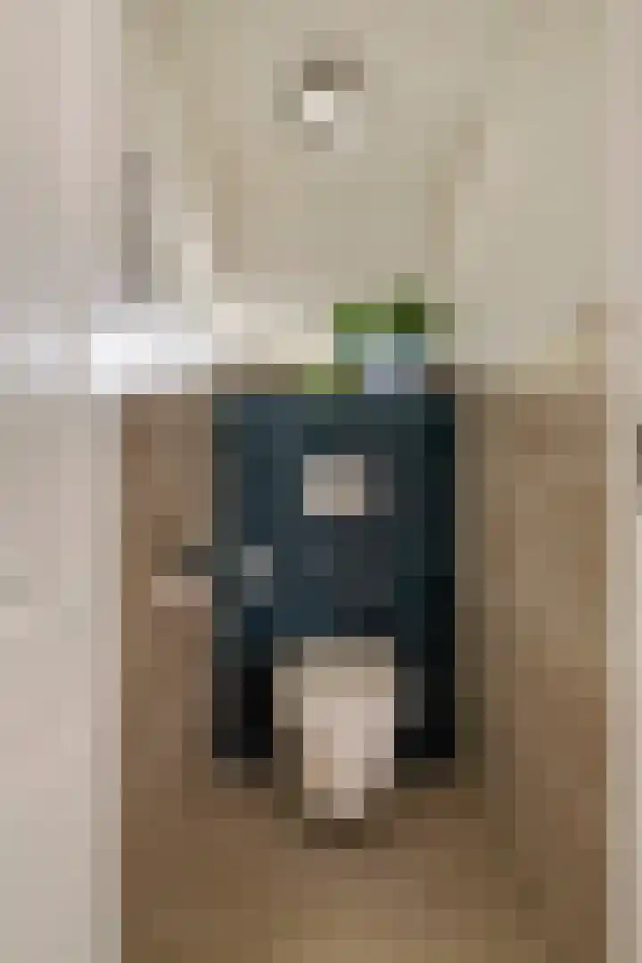 Adam van Delenstraat 6 e Eck en Wiel thumbnail 35
