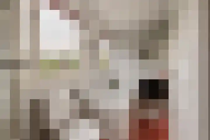 Adam van Delenstraat 6 e Eck en Wiel thumbnail 39