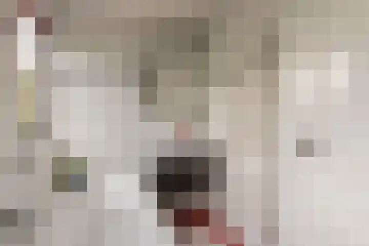 Adam van Delenstraat 6 e Eck en Wiel thumbnail 41