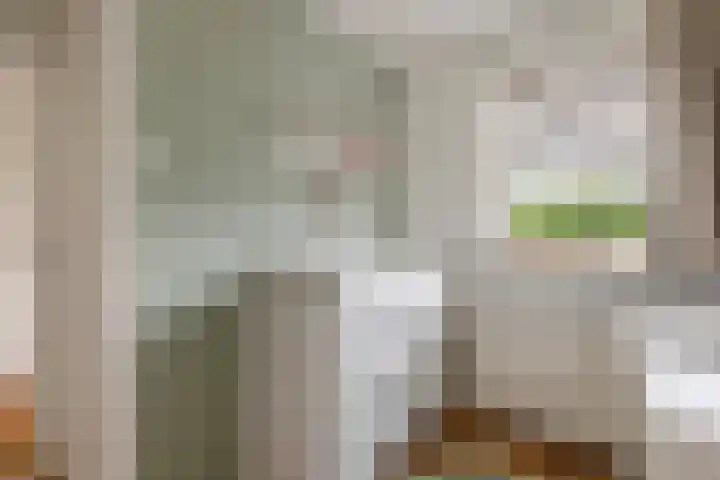 Adam van Delenstraat 6 e Eck en Wiel thumbnail 43