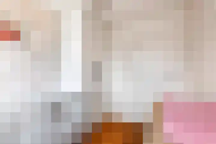 Adam van Delenstraat 6 e Eck en Wiel thumbnail 45