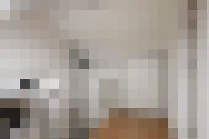 Adam van Delenstraat 6 e Eck en Wiel thumbnail 47