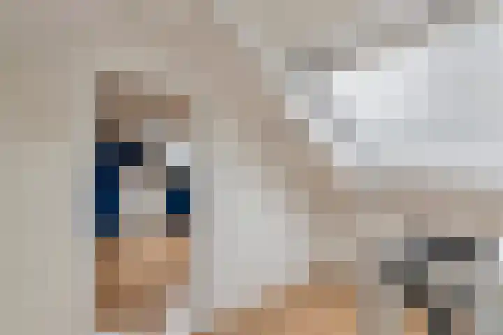 Adam van Delenstraat 6 e Eck en Wiel thumbnail 48