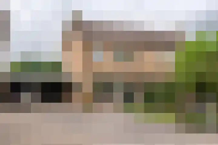 Adam van Delenstraat 6 e Eck en Wiel thumbnail 5