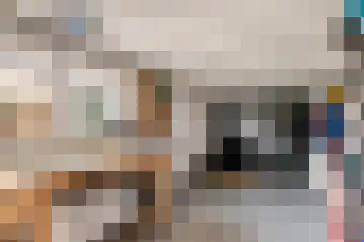 Adam van Delenstraat 6 e Eck en Wiel thumbnail 51
