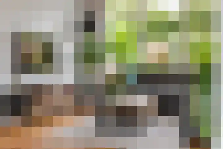 Adam van Delenstraat 6 e Eck en Wiel thumbnail 6