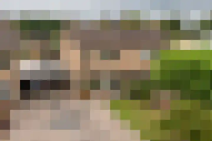 Adam van Delenstraat 6 e Eck en Wiel thumbnail 61