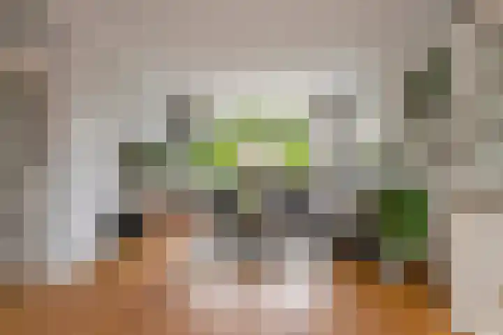 Adam van Delenstraat 6 e Eck en Wiel thumbnail 7