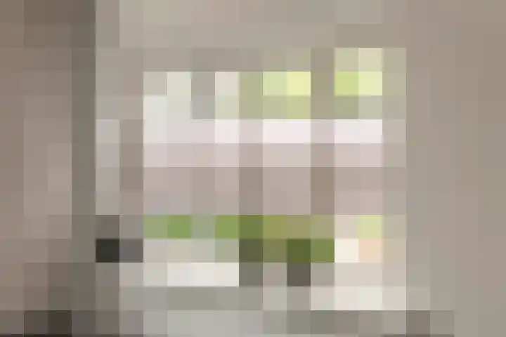 Adam van Delenstraat 6 e Eck en Wiel thumbnail 8