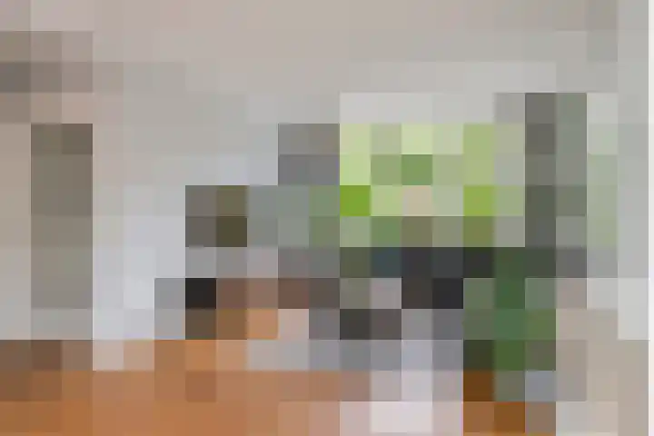 Adam van Delenstraat 6 e Eck en Wiel thumbnail 9