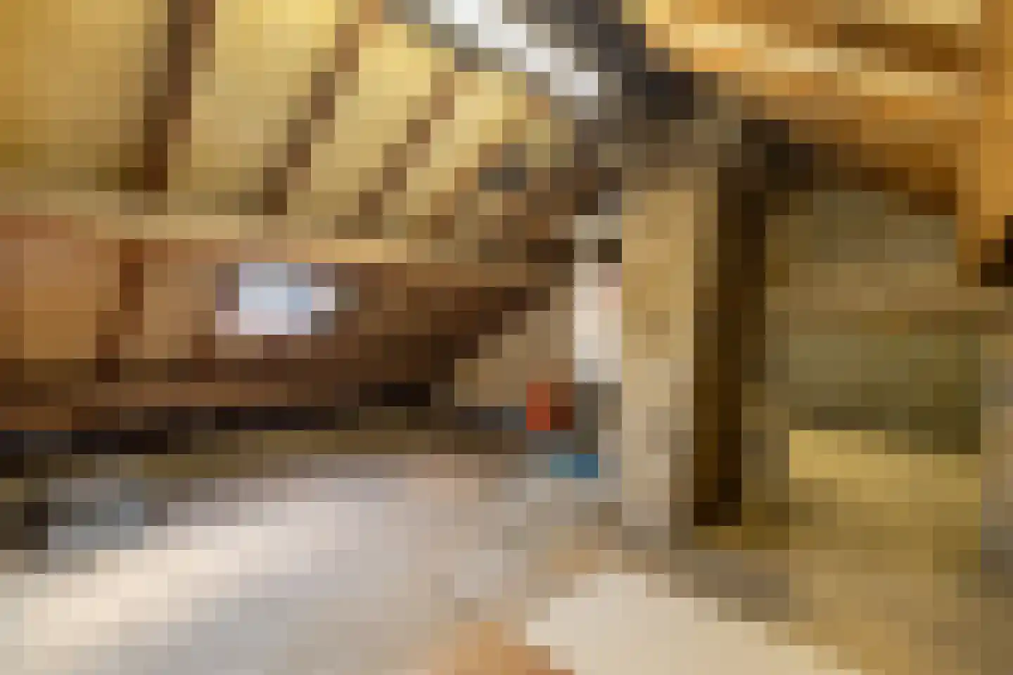 Adam van Harenstraat 1 Maastricht thumbnail 18