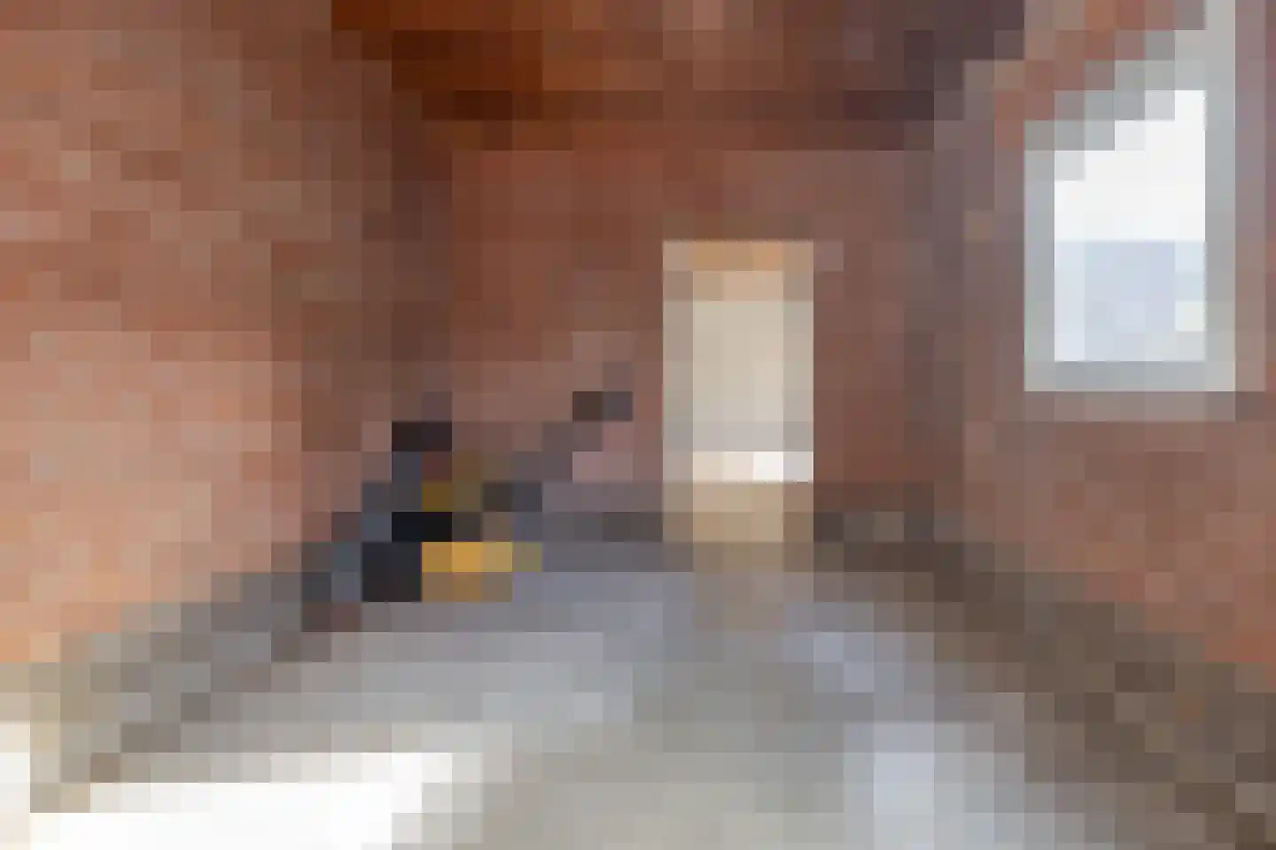 Adam van Harenstraat 1 Maastricht thumbnail 19