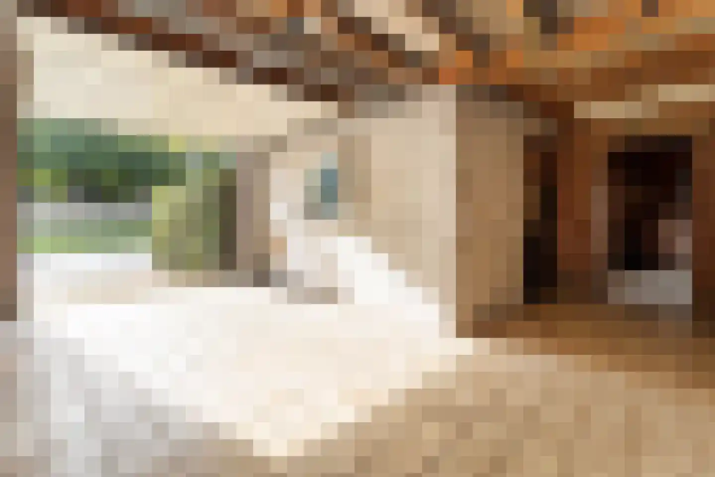 Adam van Harenstraat 1 Maastricht thumbnail 21