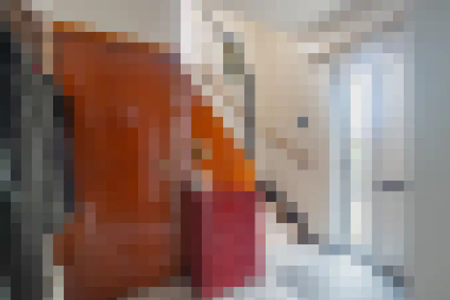Adam van Harenstraat 7 Maastricht thumbnail 9