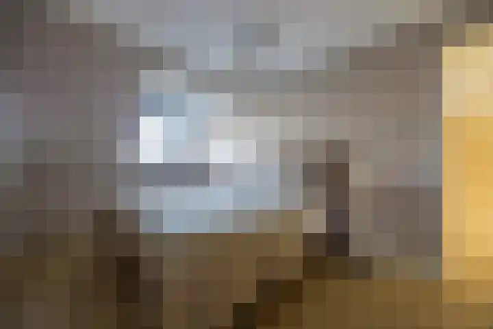 Adama van Scheltemalaan 13 Blaricum thumbnail 15
