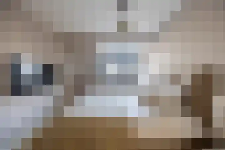 Adama van Scheltemalaan 13 Blaricum thumbnail 17
