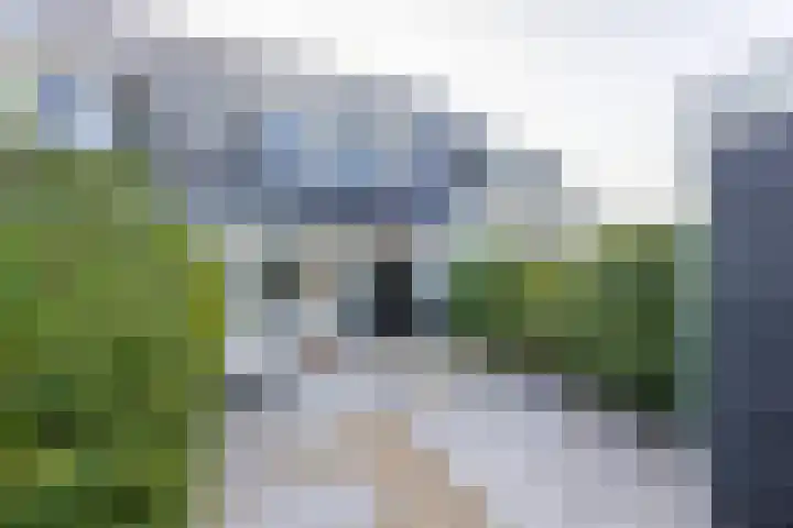Adama van Scheltemalaan 13 Blaricum thumbnail 31