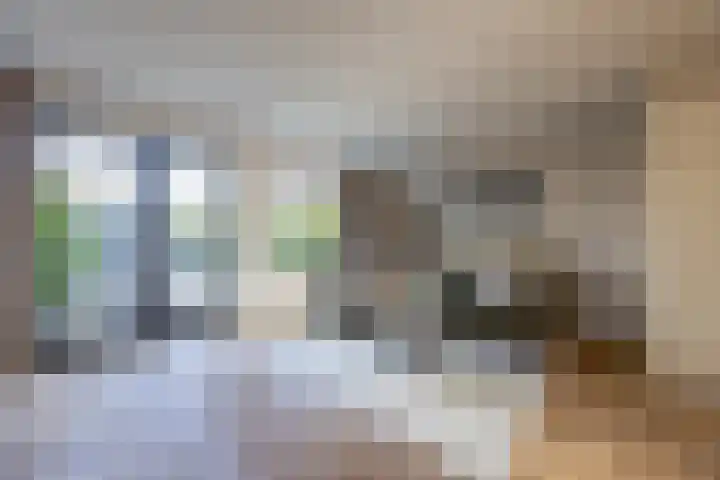 Adama van Scheltemalaan 13 Blaricum thumbnail 4