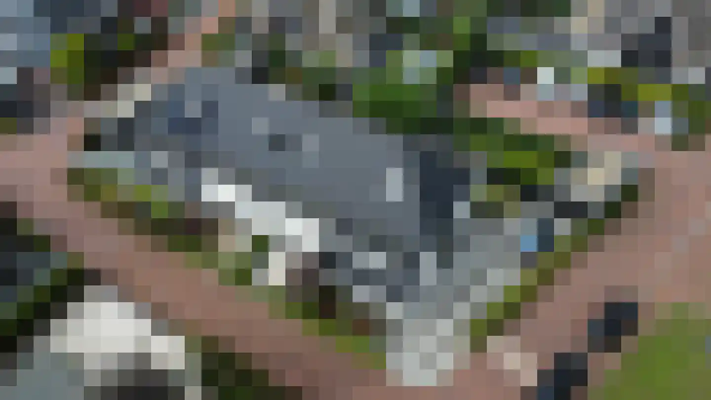 Adama van Scheltemalaan 15 Blaricum thumbnail 36