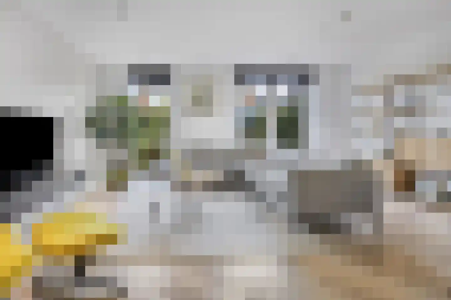 Adama van Scheltemalaan 3 Blaricum thumbnail 10